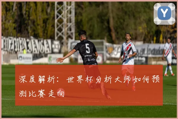 深度解析:世界杯分析大师如何预测比赛走向