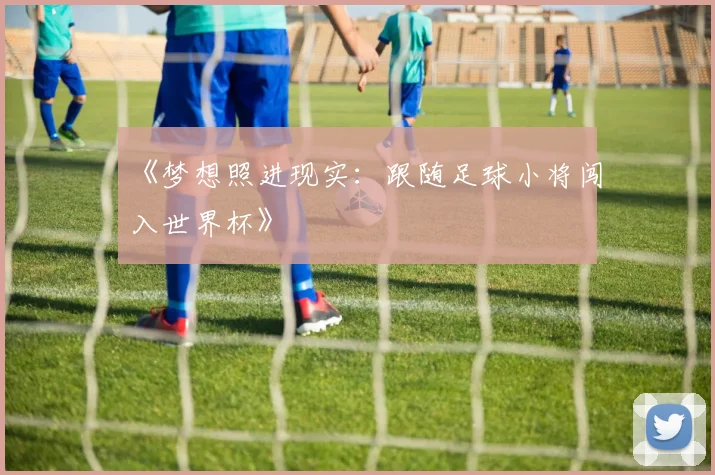 《梦想照进现实：跟随足球小将闯入世界杯》